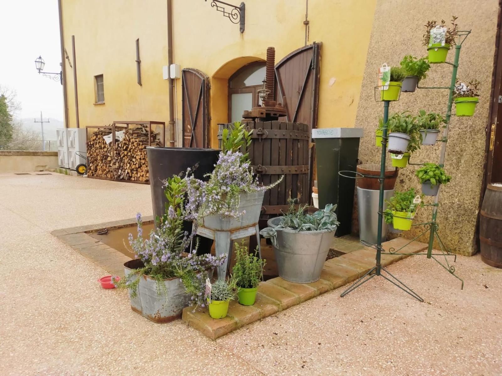 הוילה Casigliano  Locanda Di Casigliano מראה חיצוני תמונה